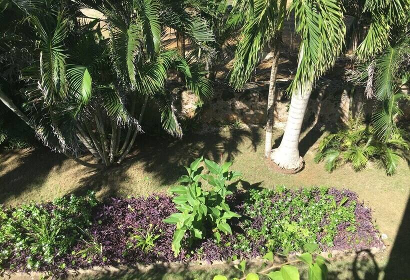 اتاق استاندارد, Almond Tree Hotel Resort