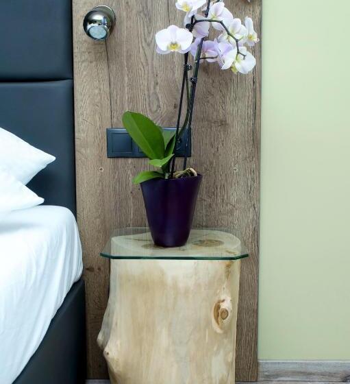 豪华房间, Fitromax Ajka