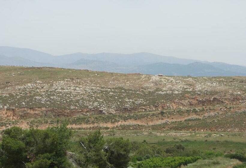 Deluxe Room, Lishansky Since 1936