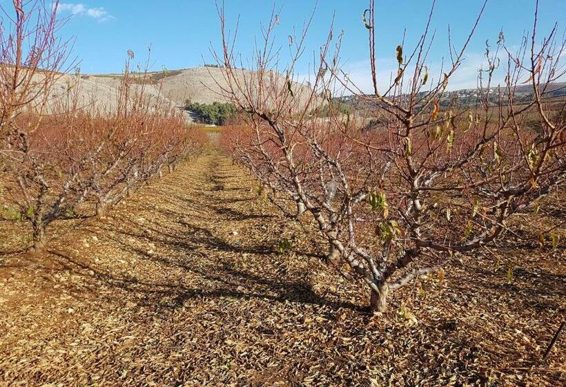 Deluxe Room, Lishansky Since 1936