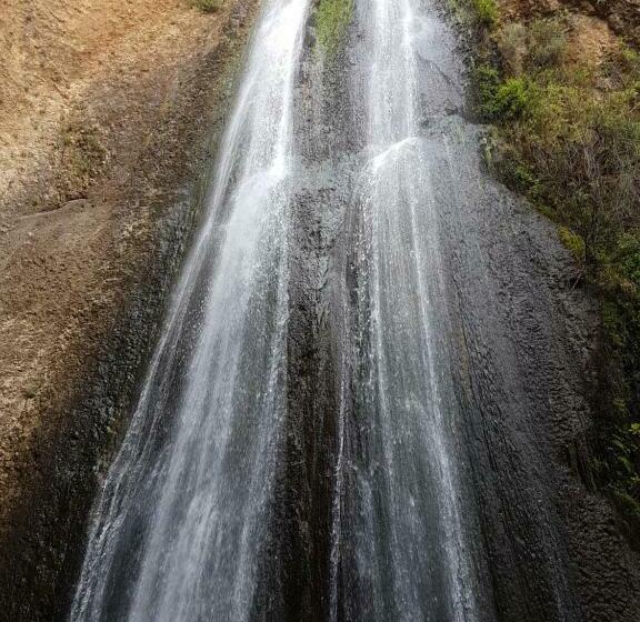 Economy Room, Lishansky Since 1936