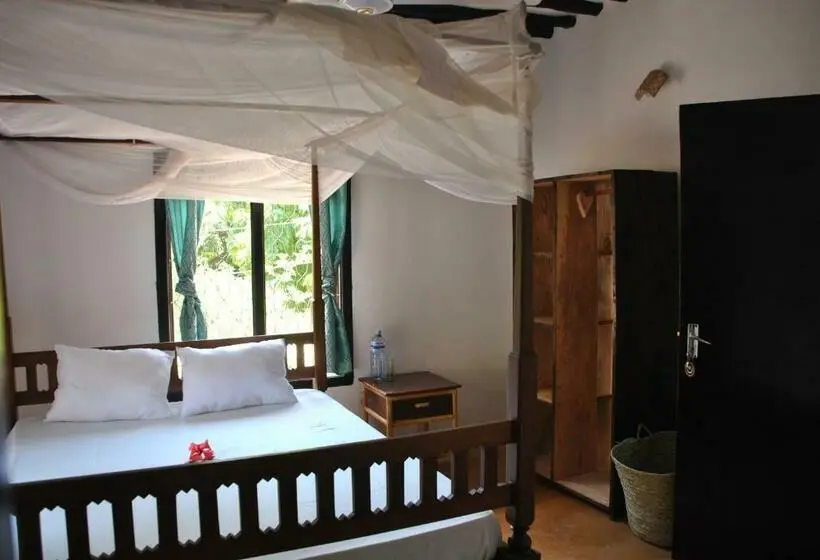 اتاق استاندارد, Shella White House