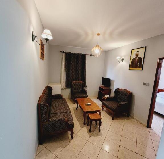 استودیوی استاندارد, Altitel