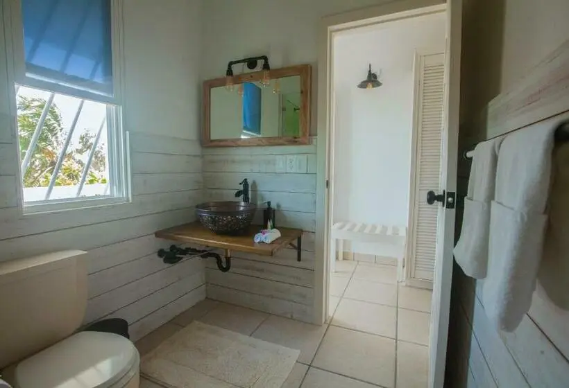 Suite Superior, Tree Tops