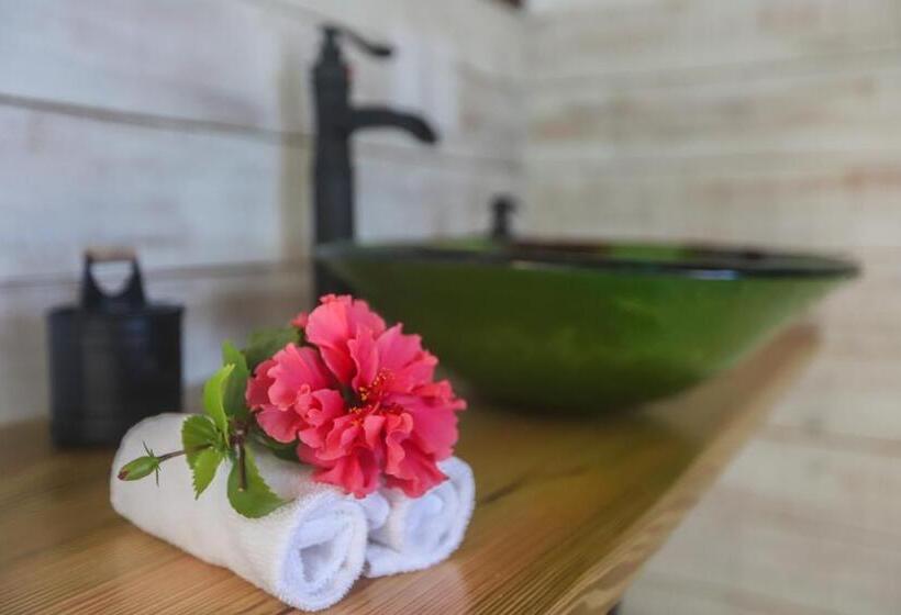 جناح سوبيريور مطل علي البحر, Tree Tops