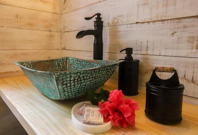 غرفة قياسية, Tree Tops