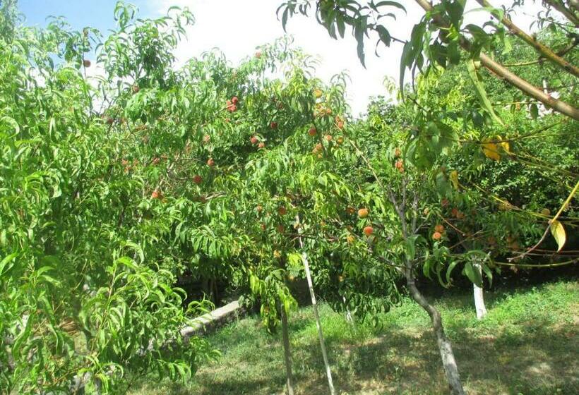 Номер Стандарт Вид на Горы, Shushan B&b