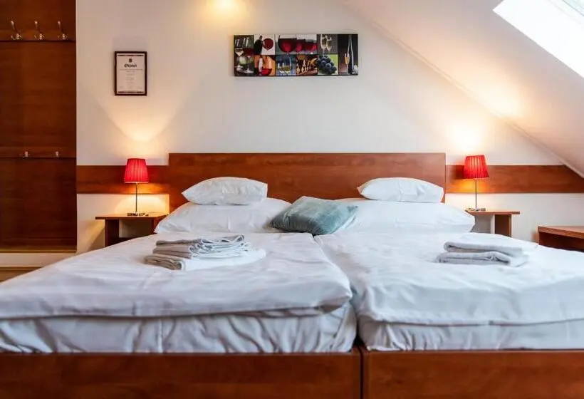 Standard Kolmen Hengen Huone, Fényes Vinorium