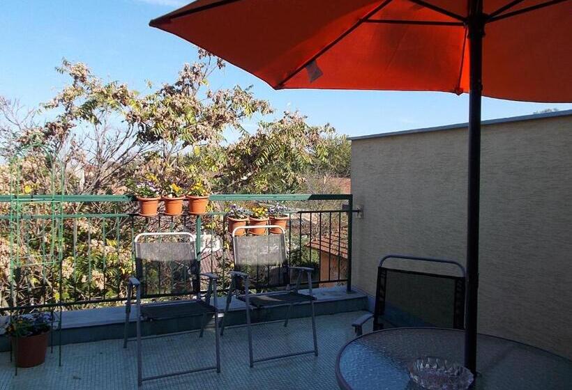 غرفة ديلوكس مزودة بشرفة, éjjelibagoly Vendégház