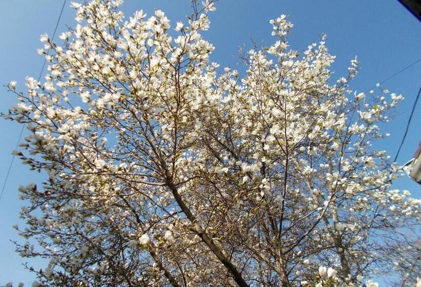 غرفة قياسية ثلاثية, éjjelibagoly Vendégház