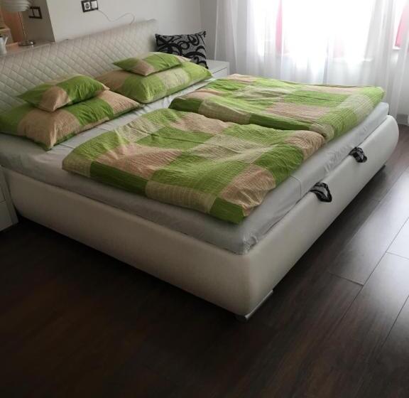 غرفة قياسية مطلّة علي الحديقة, éjjelibagoly Vendégház