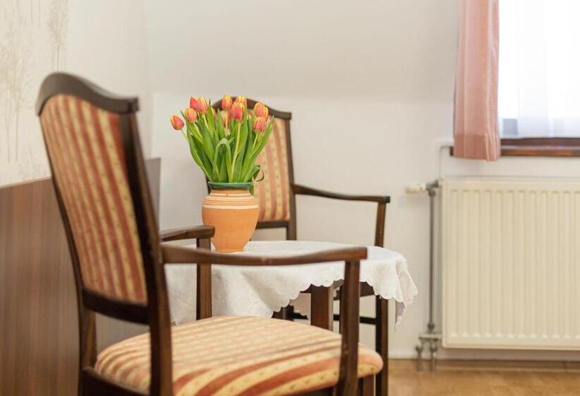 غرفة سوبيريور ثلاثية, Tercia Hubertus Panzió