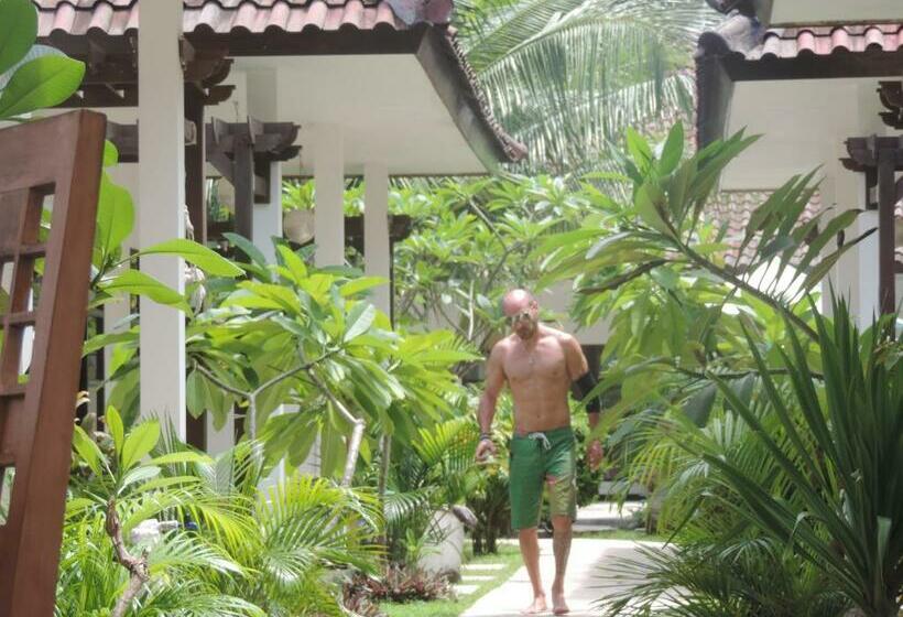 غرفة ديلوكس, Casus Dream