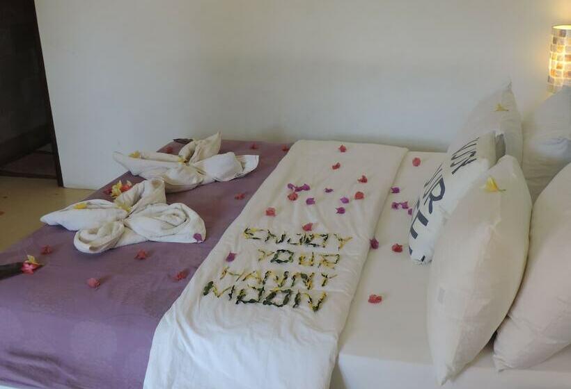 فيلا غرفتين نوم, Casus Dream