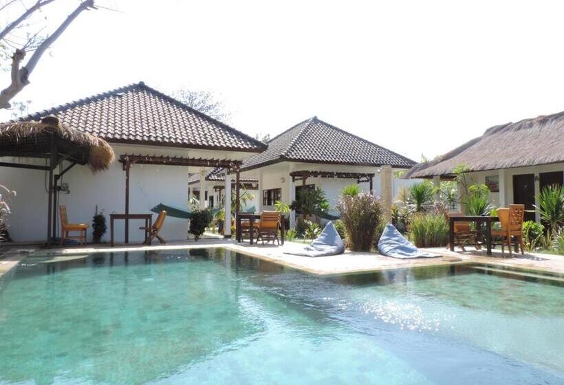 فيلا غرفتين نوم, Casus Dream