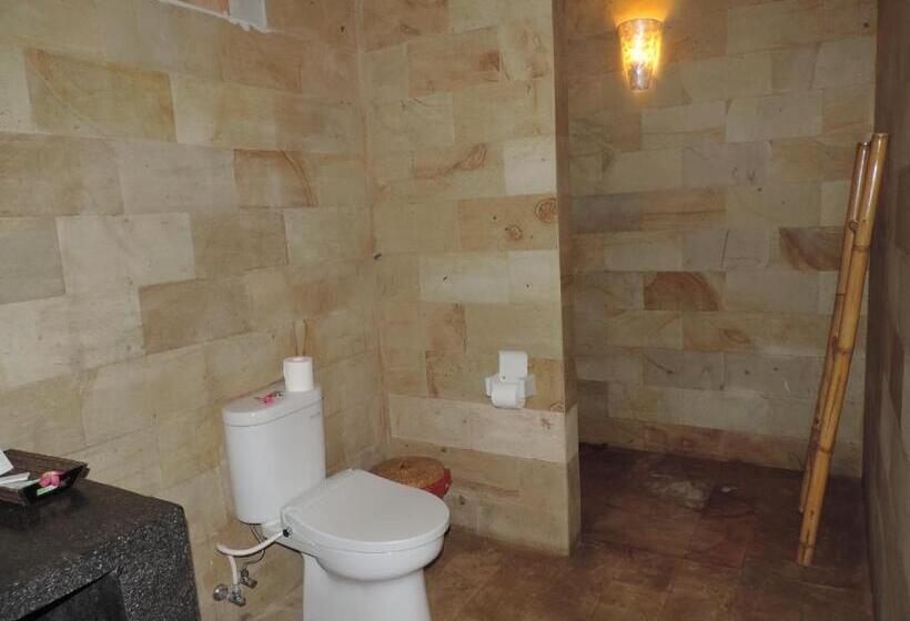 فيلا غرفتين نوم, Casus Dream