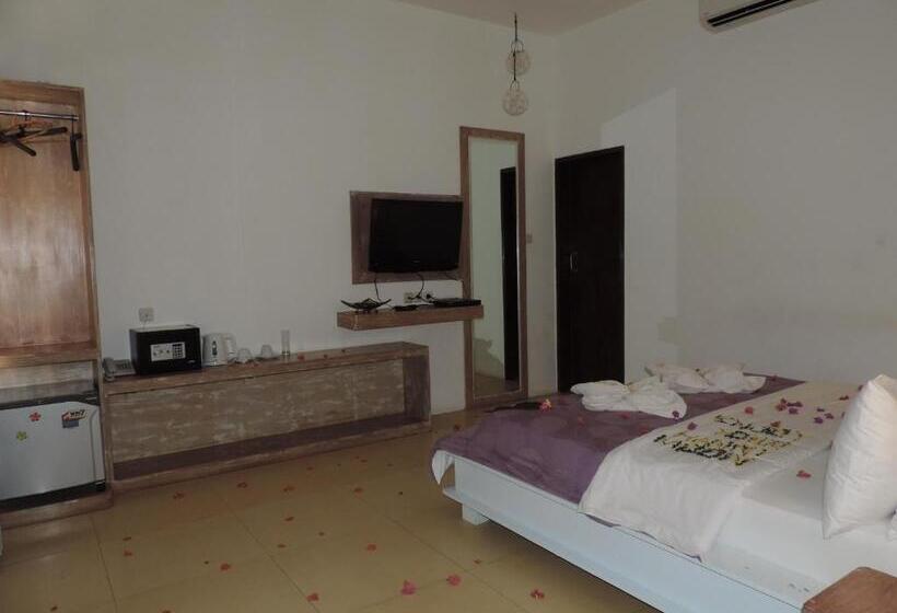 فيلا غرفتين نوم, Casus Dream