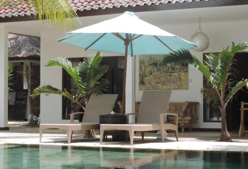 فيلا غرفتين نوم, Casus Dream