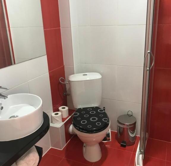 带大床的标准间, Gabrisa