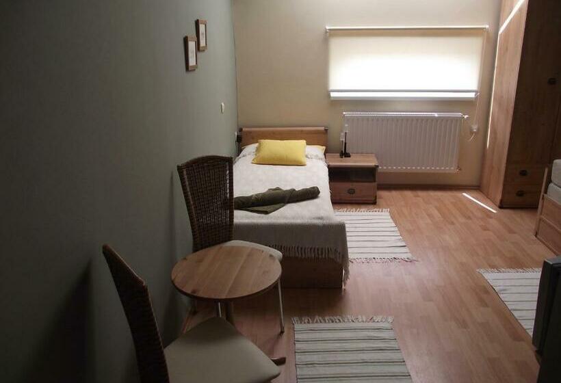 Habitación Estándar Individual, Oazis Panzió