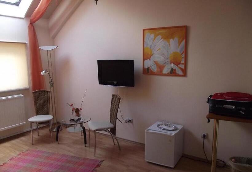 标准间, Oazis Panzió