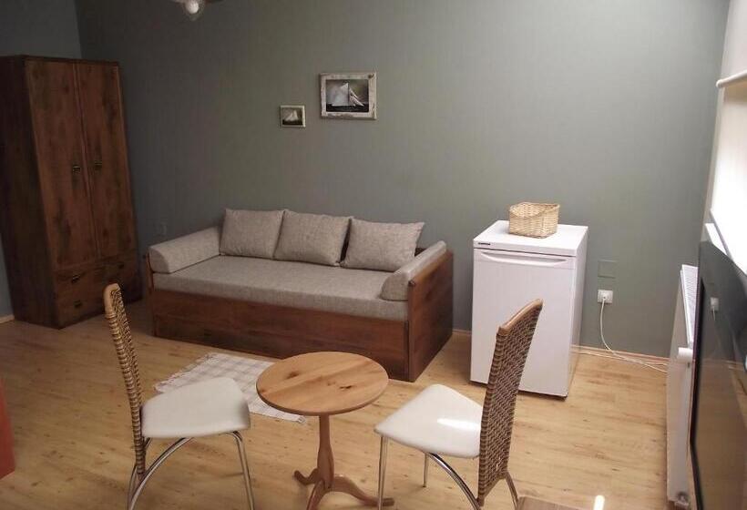 带1个卧室的公寓, Oazis Panzió