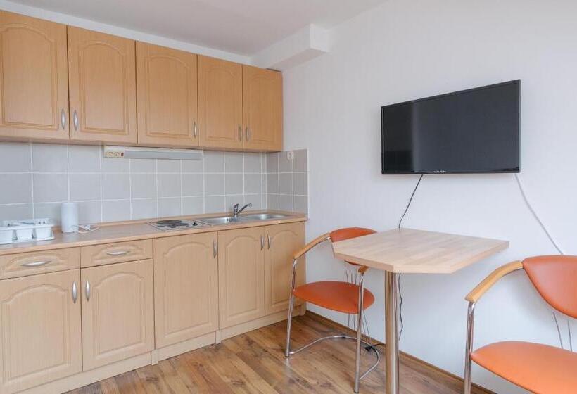 带1个卧室的公寓, Oazis Panzió