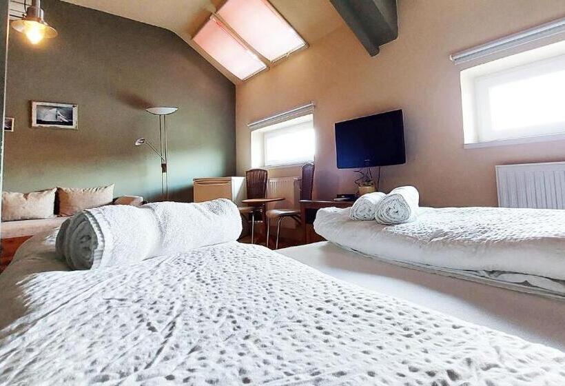 带1个卧室的公寓, Oazis Panzió