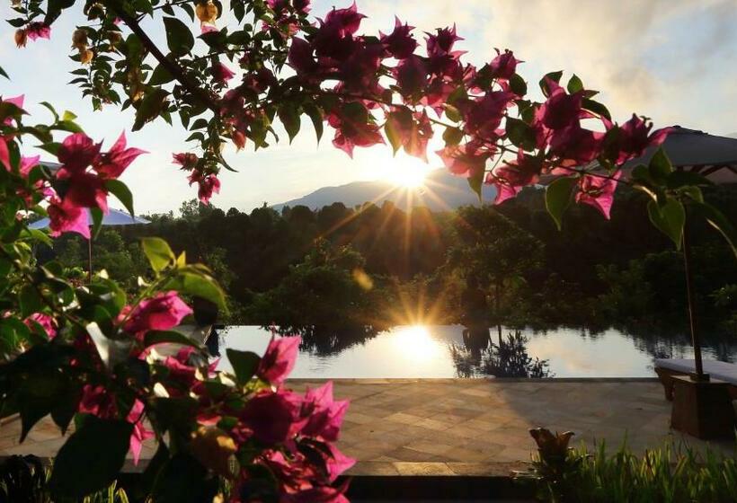 Номер Стандарт, Shanti Natural Panorama View