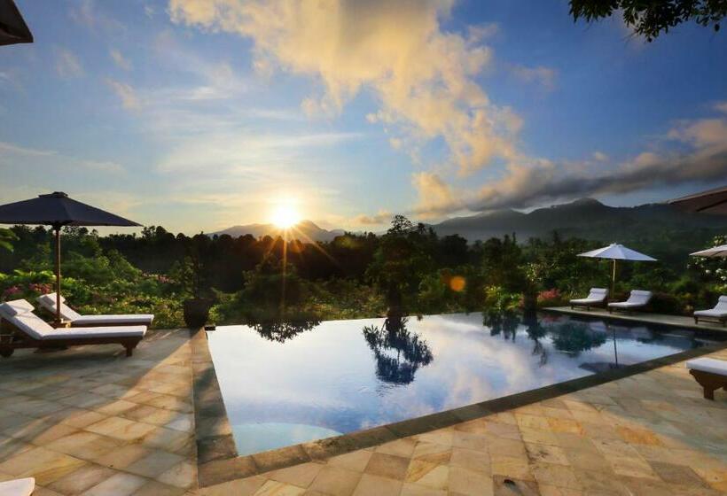 Номер Стандарт, Shanti Natural Panorama View