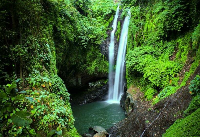 Номер Стандарт, Shanti Natural Panorama View