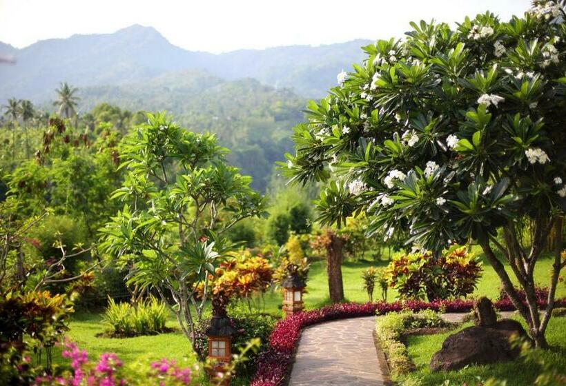 Номер Стандарт, Shanti Natural Panorama View