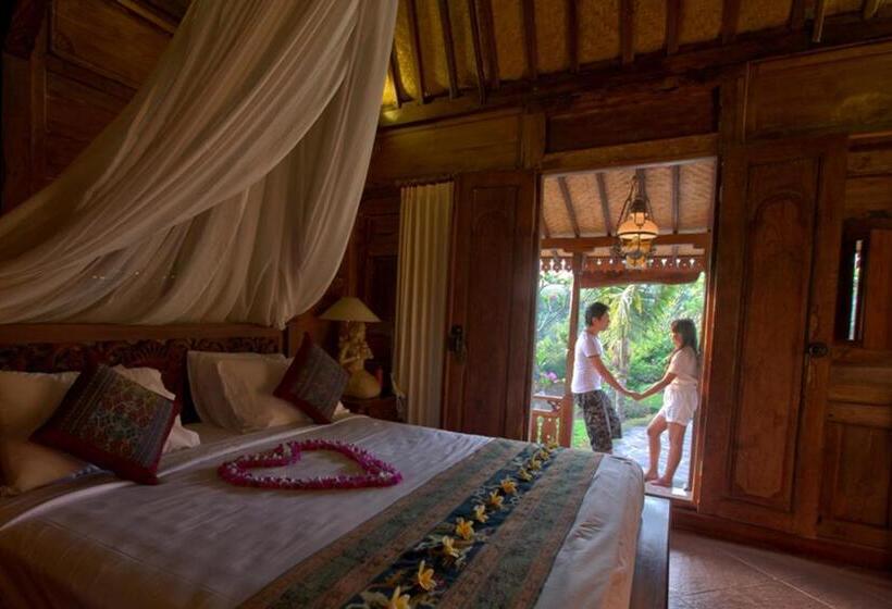 Номер Economy, Shanti Natural Panorama View