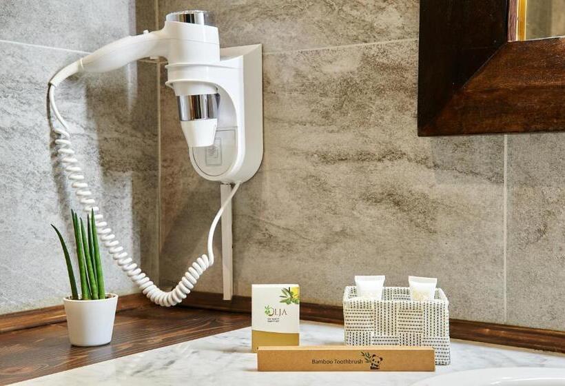 اتاق استاندارد با تخت بزرگ, Fabrizio S Rooms