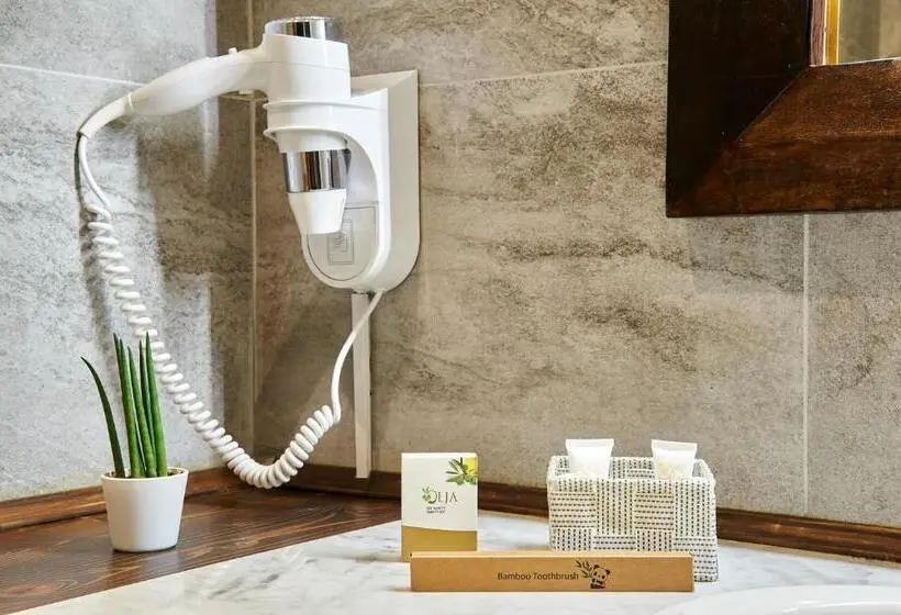 اتاق استاندارد با تخت بزرگ, Fabrizio S Rooms
