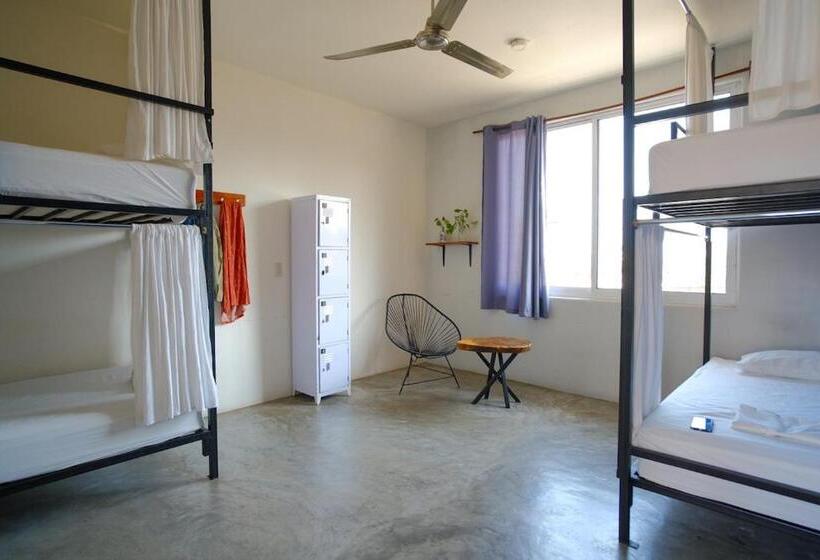 공동 객실, La Escondida H