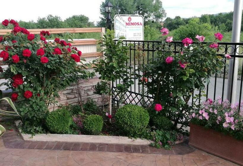 Номер Стандарт с Балконом, Family Hotel Mimosa