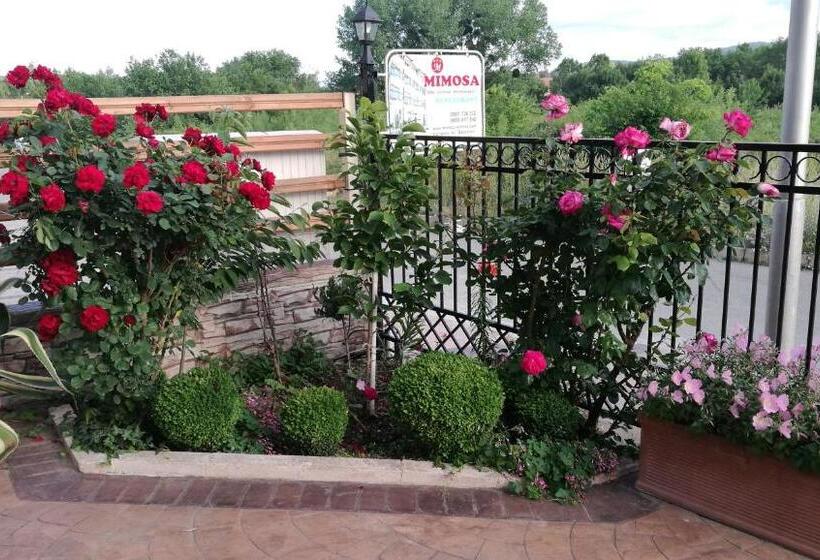 带阳台的三人标准间, Family Hotel Mimosa