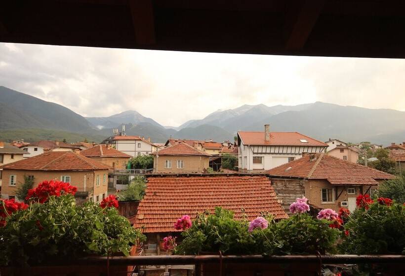 컴포트 트리플 룸, Bizev