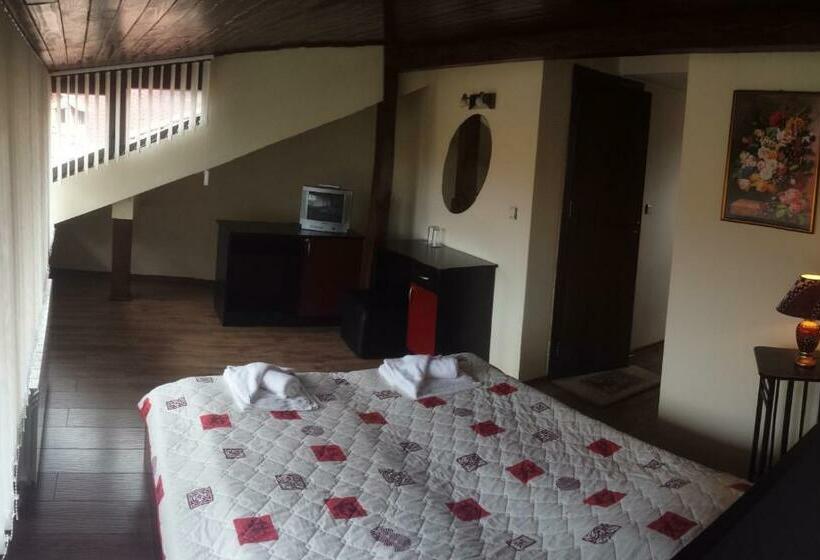 اتاق استاندارد, Guest House Skabrin