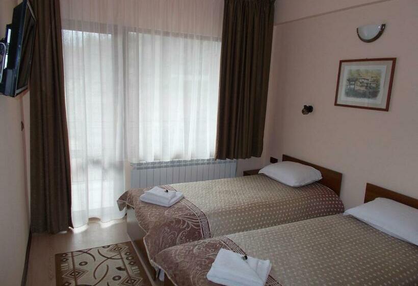 スタンダードルーム, Panorama Family