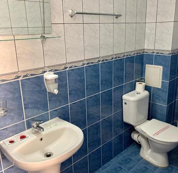 اتاق اکونومی, Plovdiv