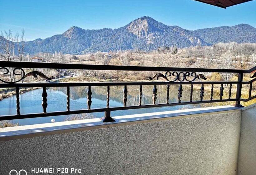 חדר סטנדרט לארבעה, Ribkata Family