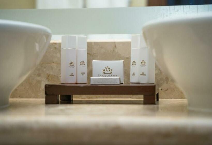 إستوديو ديلوكس, Maxi Park Hotel & Spa