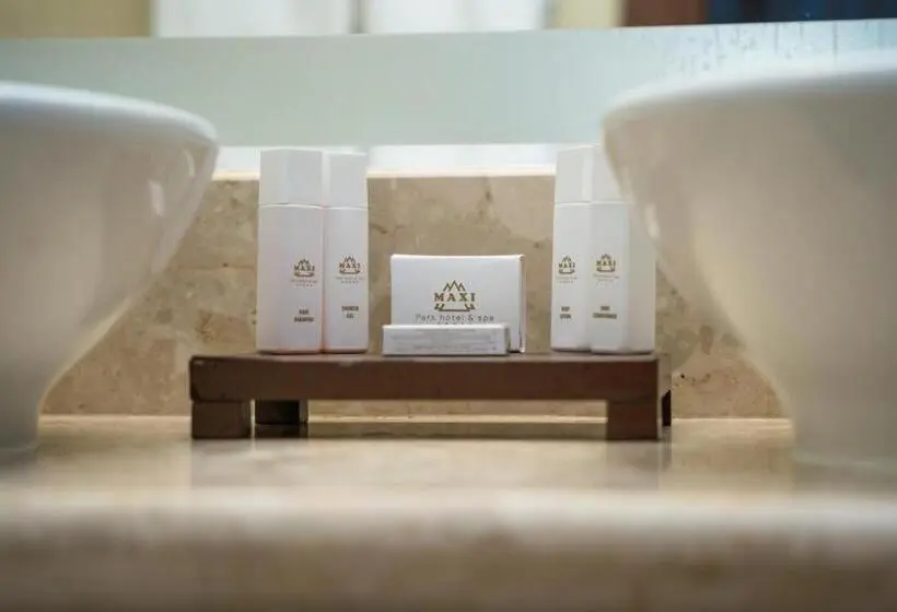 سوئیت جونیور با چشم‌انداز, Maxi Park Hotel & Spa