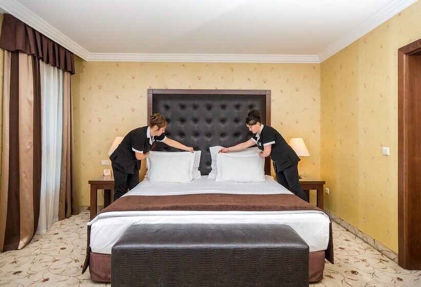 إستوديو ديلوكس, Maxi Park Hotel & Spa