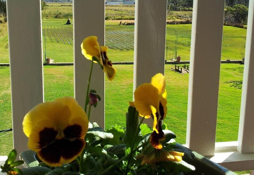 סוויטה עם מרפסת, Andavine House   Bed & Breakfast