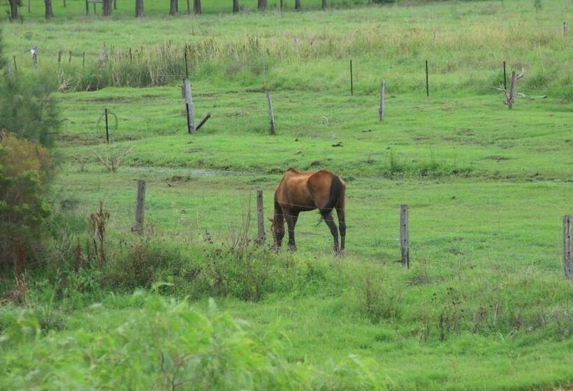 סוויטה עם מרפסת, Andavine House   Bed & Breakfast