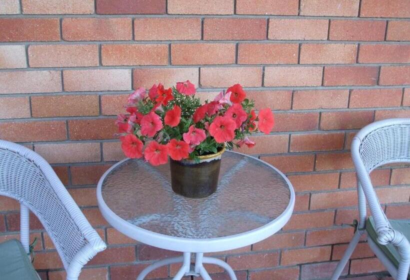 חדר סטנדרט, Anna Bella Motel Glen Innes