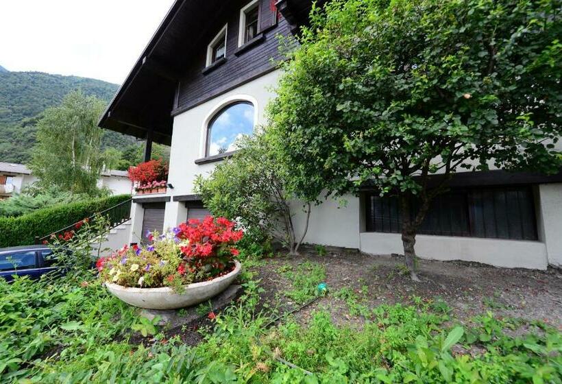 スタンダードルーム, B&b Scotty & Co